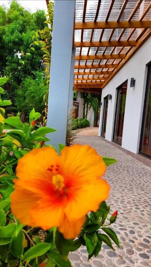 Hotel El Viajero 拉利伯塔德 外观 照片